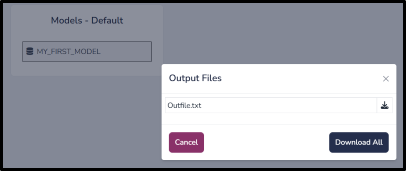 Output Files